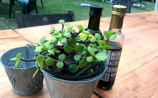 Pizzarella drink