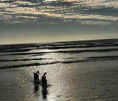 Strandkombuis outside