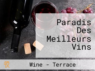Paradis Des Meilleurs Vins