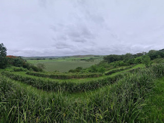 Lake Victoria Barn Swallow Viewing Site