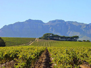 Kleine Zalze Wine Estate